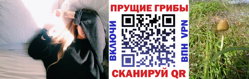даркнет сайт  Сочи  Псилоцибиновые грибы ЛСД 